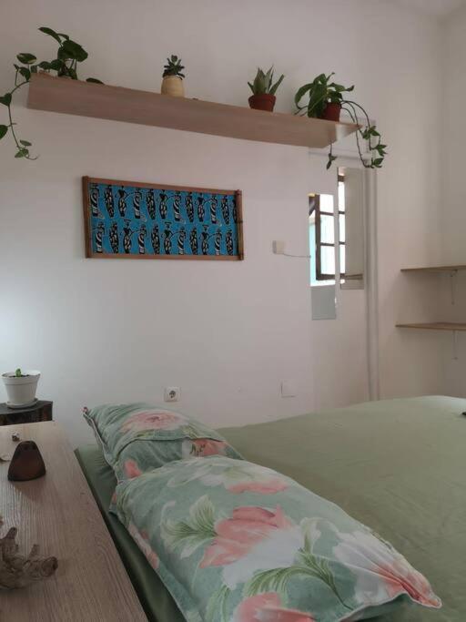 Old House Apartment Tarrafal  Luaran gambar